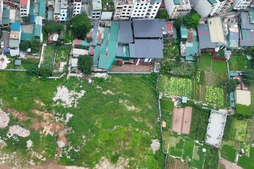 Bộ Nông nghiệp và Môi trường nói rõ hạn mức tách thửa sau sáp nhập