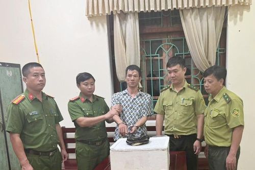 Vận chuyển trái phép rắn hổ mang chúa, một người đàn ông bị khởi tố