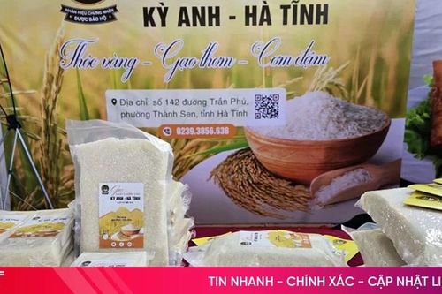 Gạo Kỳ Anh được cấp chứng nhận bảo hộ nhãn hiệu