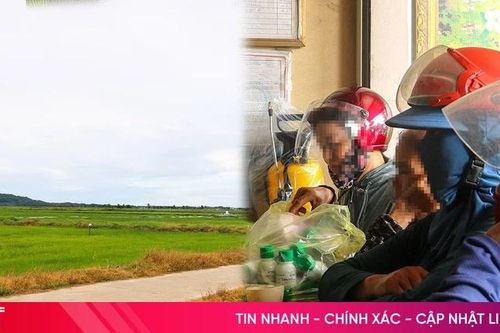 Hà Tĩnh siết quản lý thuốc cỏ cháy ngay đầu vụ hè thu