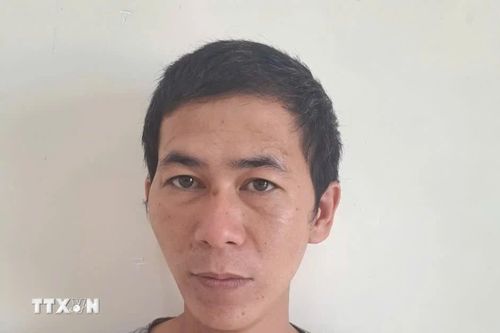 Đồng Nai: Bực tức vì chơi game thua, con trai sát hại bố ruột