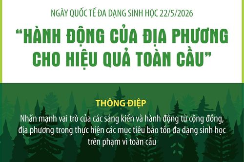Ngày Quốc tế đa dạng sinh học 22/5/2026: 'Hành động của địa phương cho hiệu quả toàn cầu'