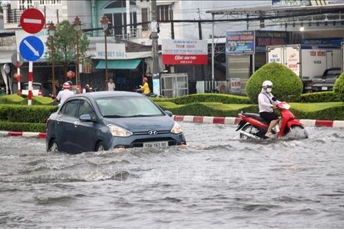 Cà Mau: Mưa lớn kéo dài, nhiều tuyến đường ngập sâu