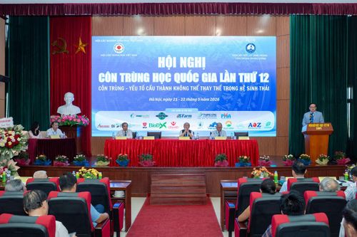 Bệnh do côn trùng gây ra vẫn đang là vấn nạn rất lớn