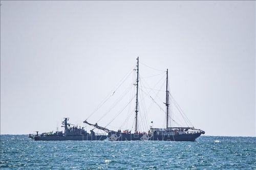 Các nước nỗ lực bảo hộ công dân liên quan đoàn tàu viện trợ Dải Gaza