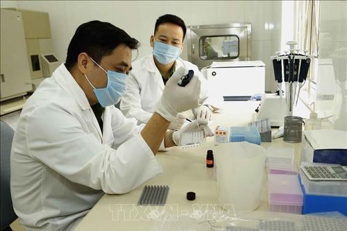 Chính sách hỗ trợ đặc thù, vượt trội cho người giám định tư pháp