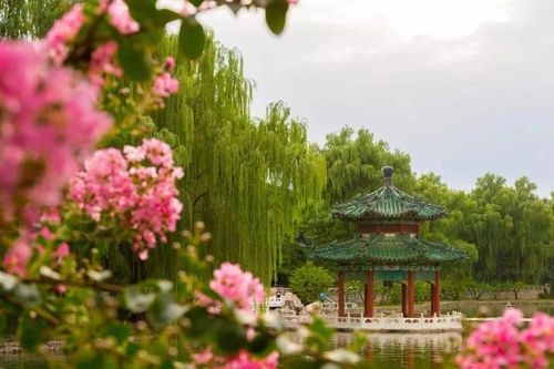 Bên trong khu vườn hoàng gia được ông Putin gọi là 'ngôi nhà thứ hai' ở Trung Quốc