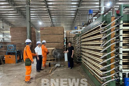 Đồng Nai thúc đẩy giao thông điện, đặt mục tiêu tiết kiệm năng lượng 1-1,5%/năm