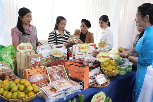 Hội LHPN Lạng Sơn: Tăng cường tuyên truyền thực hiện an toàn thực phẩm tại cơ sở