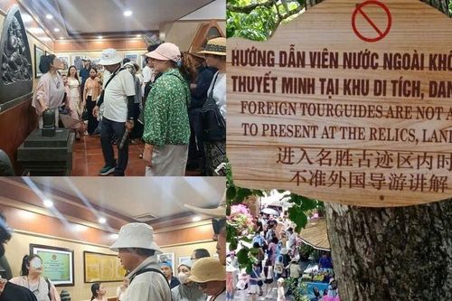 Sau phản ánh của Báo Phụ nữ Việt Nam, du lịch Khánh Hòa quyết xử lý hướng dẫn viên 'chui'