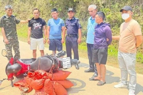 Bắt giữ gần 60kg vảy tê tê Java trên tuyến biên giới Cao Bằng