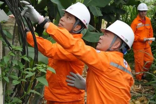 Công ty Điện lực Nghệ An dốc toàn lực giảm tổn thất điện năng hạ thế