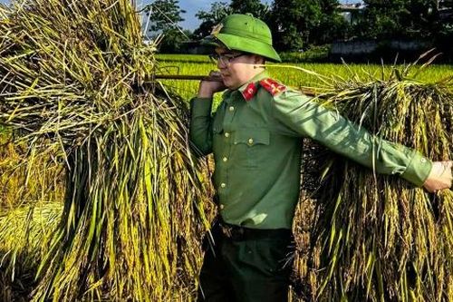 Công an Thanh Hóa thu hoạch lúa giúp dân giữa nắng nóng gay gắt