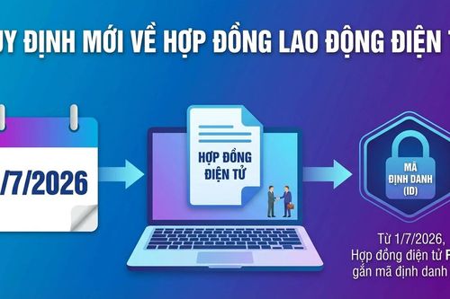 Cấp mã định danh hợp đồng lao động điện tử