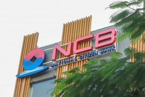 Lộ diện 22 nhà đầu tư dự kiến mua 1 tỷ cp riêng lẻ của NCB: có pháp nhân vừa thành lập 1 tháng đăng ký mua 100 triệu cp