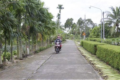 Nhân lên những tuyến đường đẹp