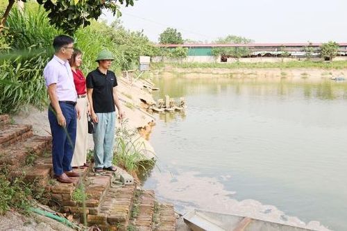 Bắc Ninh triển khai 5 mô hình khảo nghiệm lĩnh vực chăn nuôi, thủy sản