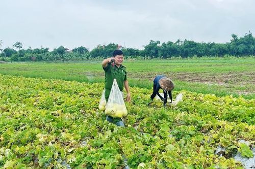 Công an xã Cao Đức hỗ trợ người dân thu hoạch nông sản trong mưa lớn