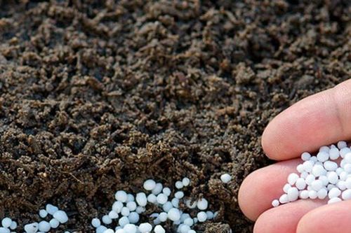 Giá phân bón hôm nay 21/5/2026: Ure Cà Mau giữ mốc 690.000 đồng/bao