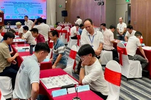 Hợp lực phát triển phong trào cờ ở Gia Lai