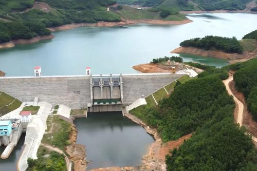 Gần 11,9 tỷ đồng đầu tư mô hình nuôi cá kết hợp du lịch sinh thái tại hồ Đồng Mít
