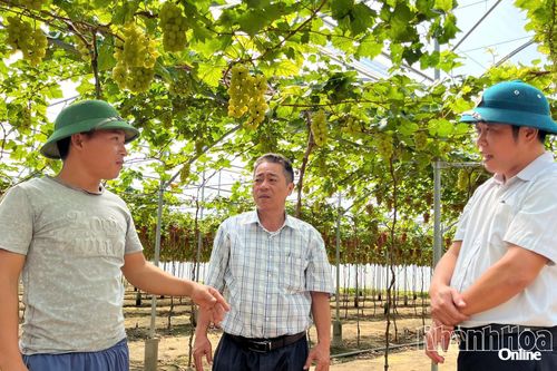 Phát triển nông nghiệp thích ứng biến đổi khí hậu từ '3 trụ cột'