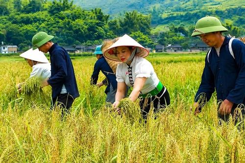 Tú Lệ lan tỏa nghị quyết đến từng cơ sở