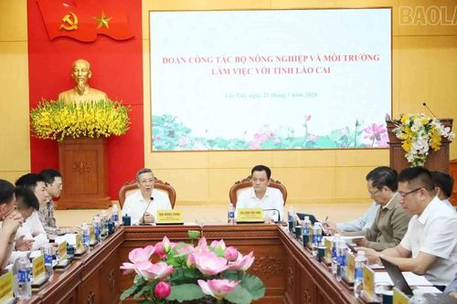 Đoàn công tác Bộ Nông nghiệp và Môi trường làm việc với UBND tỉnh Lào Cai