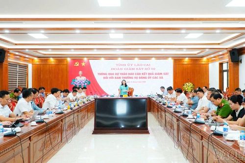 Đoàn giám sát số 02 của Tỉnh ủy làm việc với đảng ủy 4 xã Mậu A, Xuân Ái, Phong Dụ Hạ, Đông Cuông