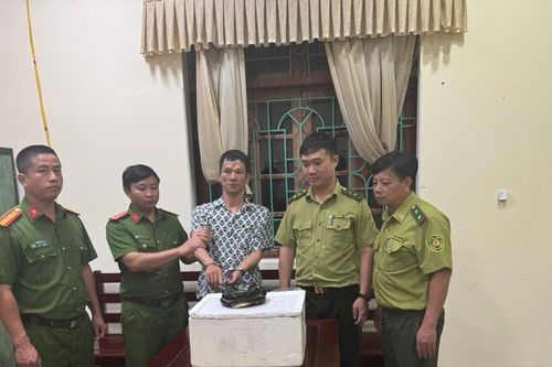 Ninh Bình: Khởi tố đối tượng vận chuyển trái phép rắn hổ chúa quý hiếm