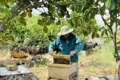 Để vững nghề, bền sinh kế
