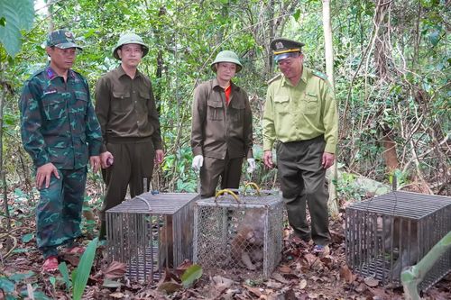 Thả 13 cá thể động vật hoang dã về môi trường tự nhiên