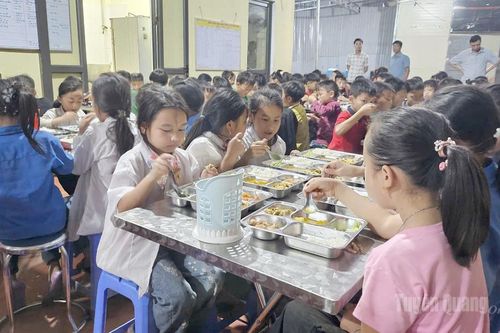 Tuyên Quang tiếp nhận và phân bổ gần 8.463 tấn gạo hỗ trợ học sinh vùng khó khăn