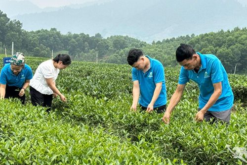 Phát huy nội lực, nâng tầm nông thôn mới