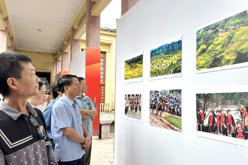 Kể chuyện xứ trà qua những khuôn hình