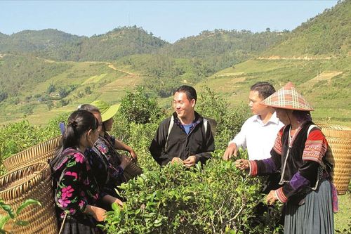 Thay đổi tư duy để giảm nghèo bền vững