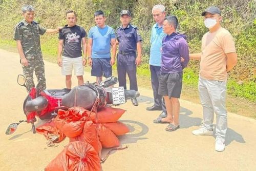 Cao Bằng: Khởi tố vụ án vận chuyển trái phép vảy tê tê Java qua địa bàn hải quan