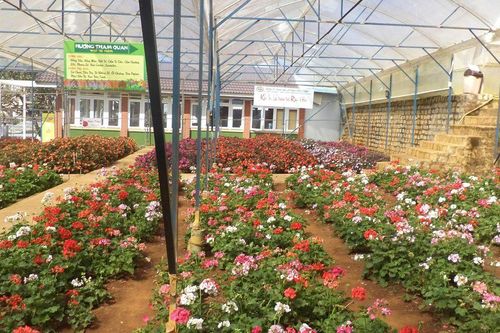 Lâm Đồng: Đà Lạt - xứ sở ngàn hoa và trải nghiệm văn hóa cồng chiêng Tây Nguyên