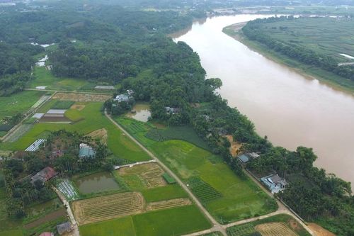Hồ Đầm Sen, Âu Lâu bị ô nhiễm: Dùng nước sông Hồng phục vụ nông nghiệp