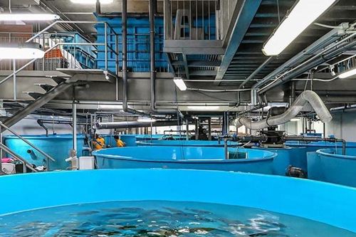 Làm chủ công nghệ, tăng sức cạnh tranh ngành thủy sản