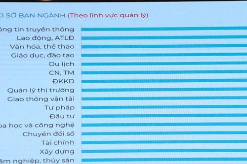 Sơn La công bố kết quả Chỉ số năng lực cạnh tranh cấp sở, ban, ngành và địa phương (DCCI) năm 2025