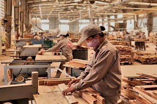 Ngành gỗ Việt chuyển đổi sản xuất sang kỷ nguyên dữ liệu và minh bạch