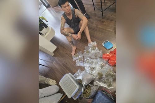 Bắt giữ các đối tượng buôn cần sa