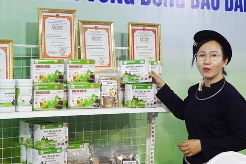 Khởi nghiệp đổi mới sáng tạo - Đòn bẩy cho hệ sinh thái phát triển