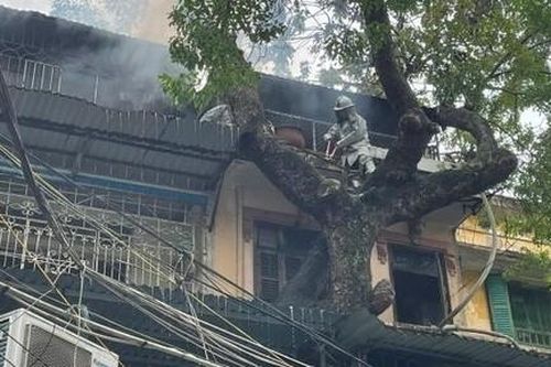 Cảnh sát PCCC leo cây, đứng trên mái ki-ốt phun nước dập lửa tại căn hộ khu tập thể