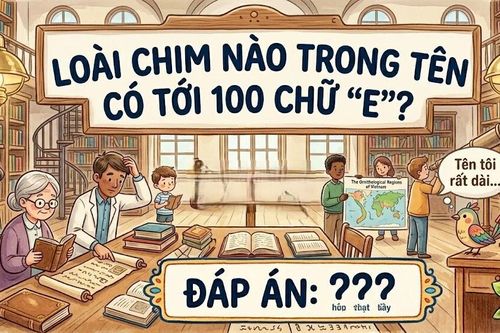 Loài chim nào trong tên có tới 100 chữ 'E'?