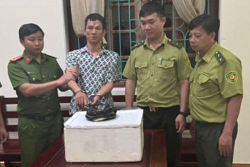 Mua rắn hổ chúa từ người lạ trên mạng, người đàn ông ở Ninh Bình bị khởi tố