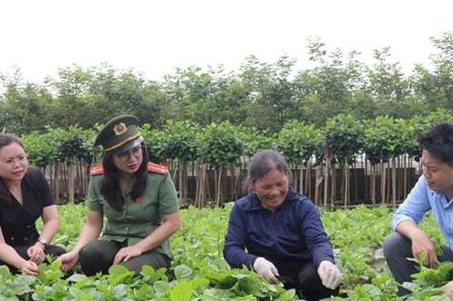 Siết chặt quản lý vật tư nông nghiệp ở Bát Tràng: Minh bạch đầu vào để bảo đảm an toàn thực phẩm
