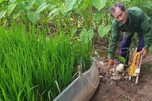 Ninh Bình: Dùng điện bẫy chuột, một người bị khởi tố về tội 'Giết người'