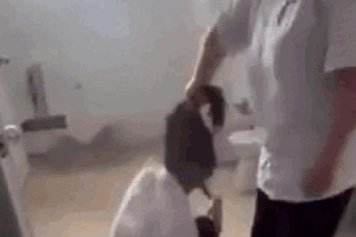 Phú Thọ: Nữ sinh lớp 10 nhập viện cấp cứu sau trận đòn hội đồng tại nhà vệ sinh